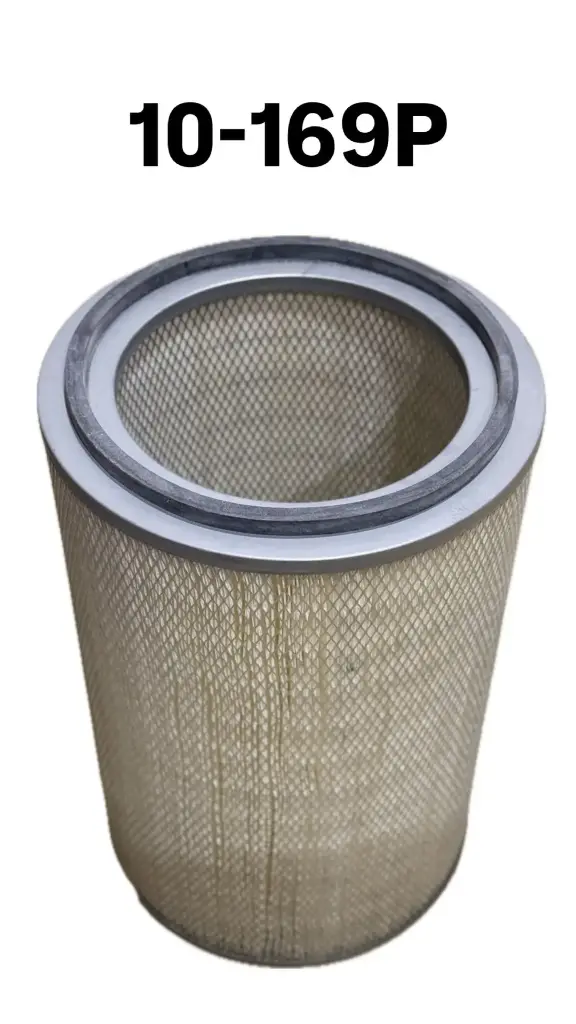 10-169P / SG-P Throwaway Filter